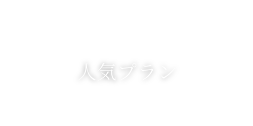 人気プラン